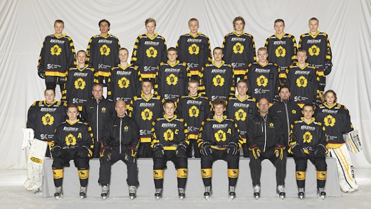 skellefteå aik u16
