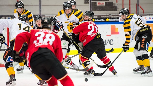 Luleå Hockey: Förlust hemma mot Skellefteå