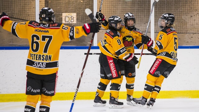Luleå Hockey: LHF/MSSK till semifinal