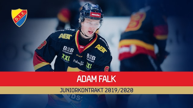 Djurgården Hockey: Walterholm och Adam Falk har förlängt