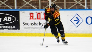 Denisa Krizova, Brynäs IF