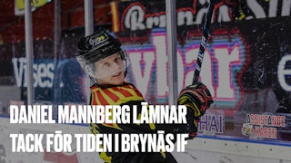 Daniel Mannberg, Brynäs IF