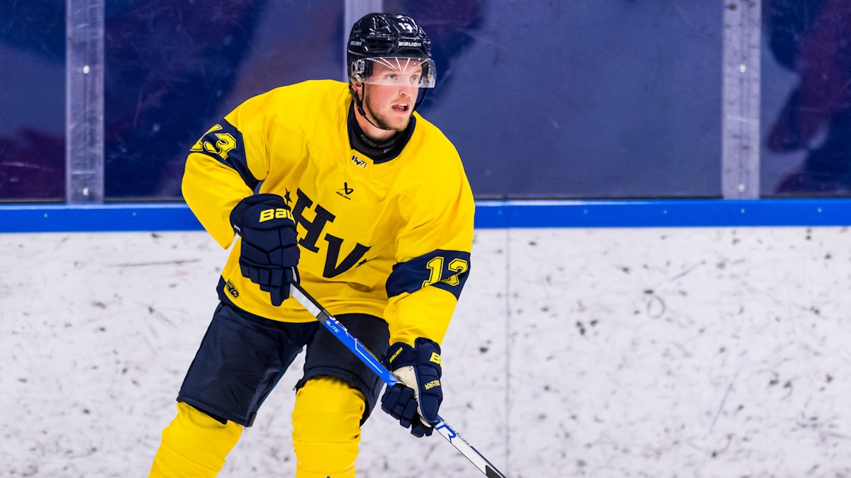 Hv71: Rasmus Bengtsson lånas ut till IK Oskarshamn