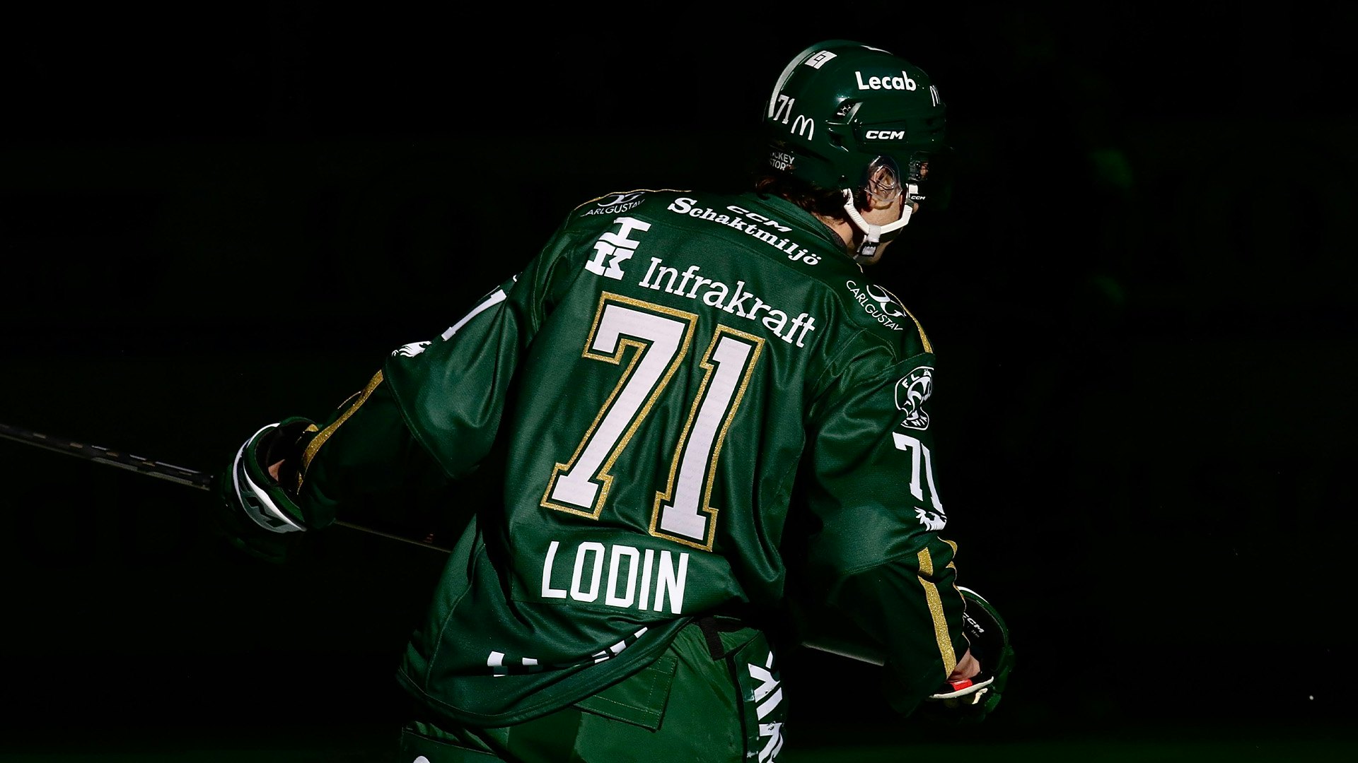 241019-1D8A0699-lodin