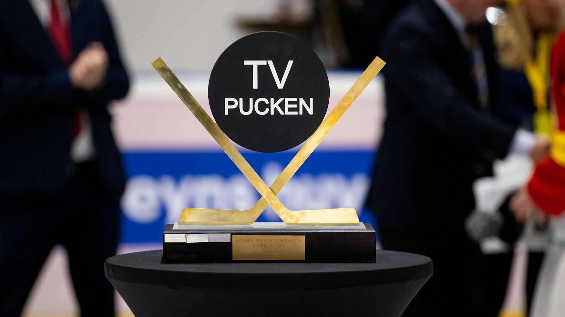Många Malmöspelare uttagna till TV-puckens kval | Malmö