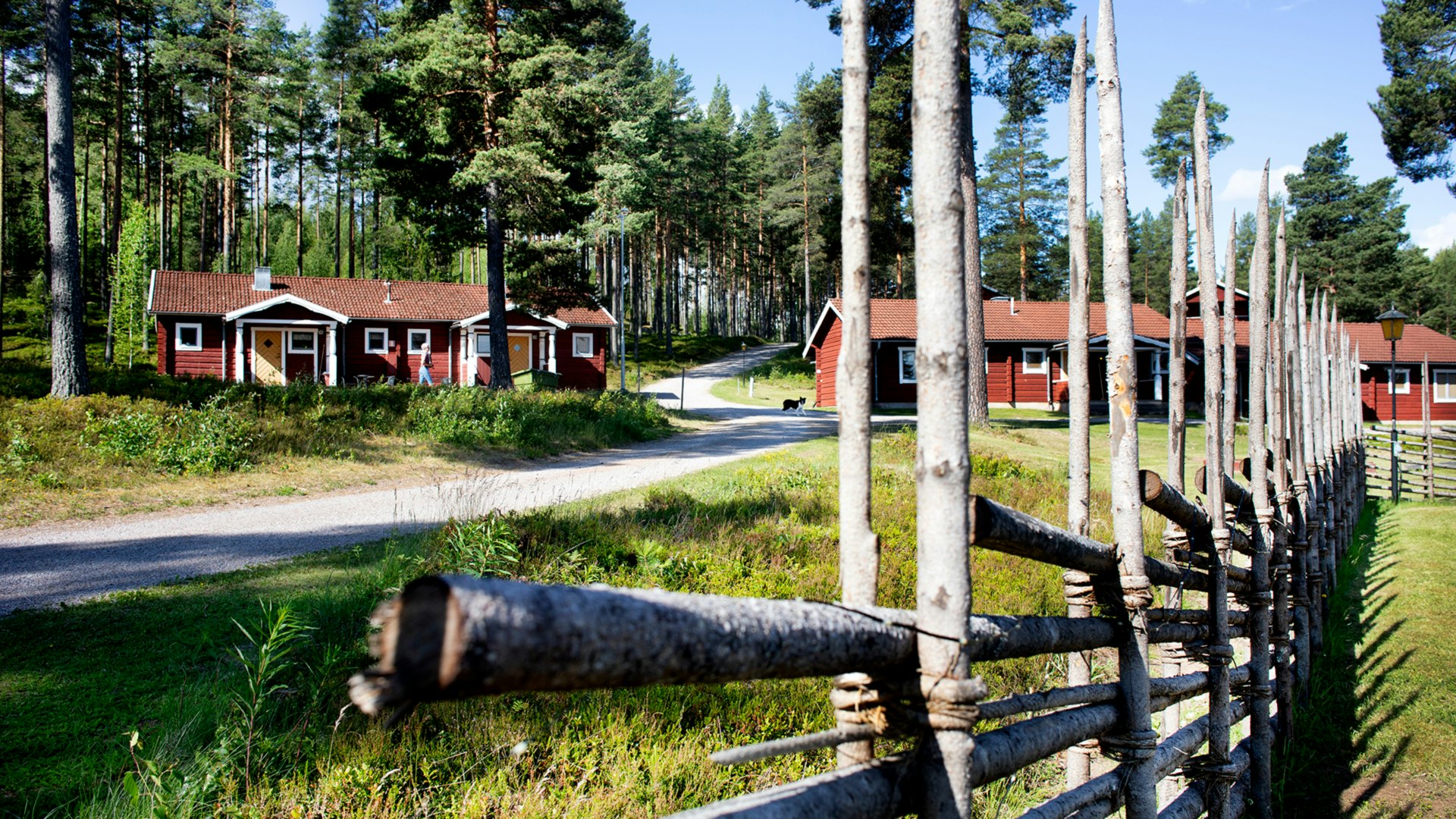 Moskogen8