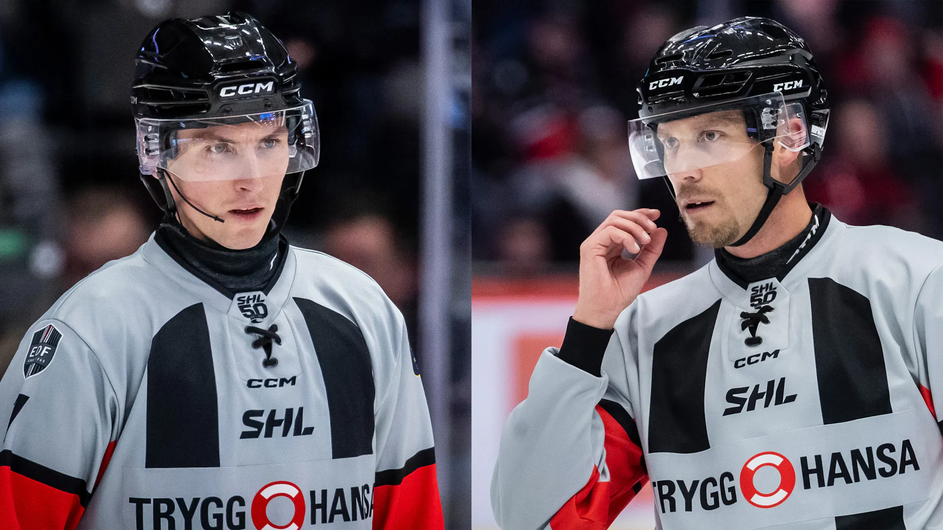 Arg Domare Två SHL-domare på internationellt uppdrag